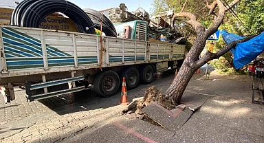 TIR AĞACI DEVİRDİ