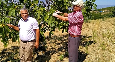 YAĞIŞLAR ETKİLEDİ