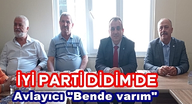 Avlayıcı