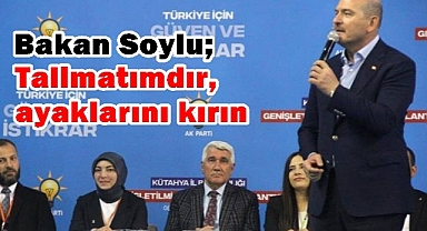 Bakan Soylu, Talimat verdi