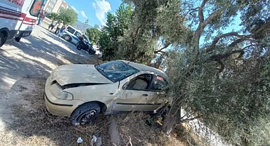 OTOMOBİL ZEYTİN AĞACINA ÇARPTI