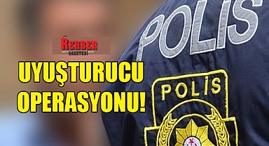 117 kişi gözaltında