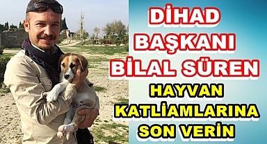 HAYVAN KATLİAMLARINA SON VERİN❗