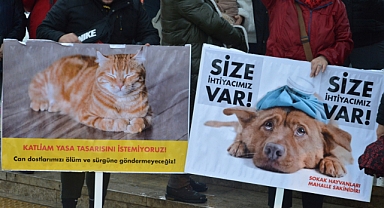 Aydınlı hayvan severler basın açıklaması yaptı