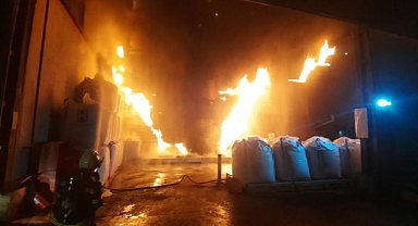 Balık yemi fabrikasında yangın başladı