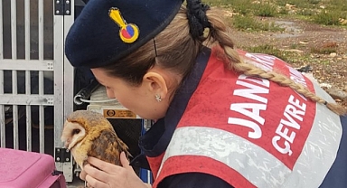 Didim Jandarma Ekiplerinden Doğaya Yardım Eli