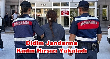 Didim Jandarma Kadın Hırsızı Yakaladı
