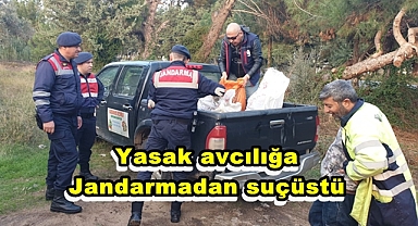 Didim Jandarmadan yasak avcılığa suçüstü