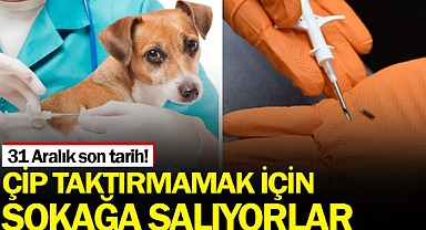 Evcil hayvanı olanların dikkatine!