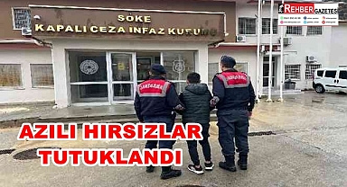 HIRSIZLAR TUTUKLANDI