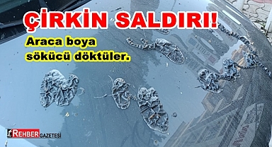 Park halindeki araca boya sökücü döktü!