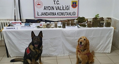 Uyuşturucuyu toprak altında saklayan tacir tutuklandı