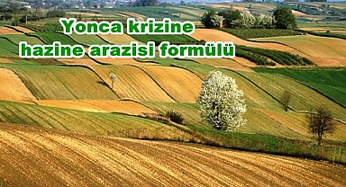 Yonca krizine hazine arazisi formülü