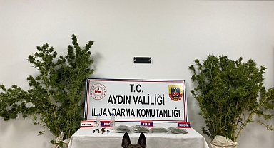 Aydın Jandarma Komutanlığının 2022 Kaçakçılıkla Mücadele Bilançosu