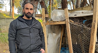 Beslediği tavukları sokak köpekleri yedi