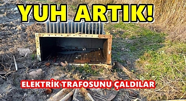 Elektrik Trafosunu da çaldılar