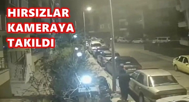 HIRSIZLAR KAMERAYA TAKILDI