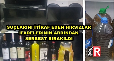 SUÇLARINI İTİRAF EDEN HIRSIZLAR, İFADELERİNİN ARDINDAN SERBEST BIRAKILDI
