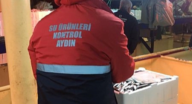 BALIKÇI TEKNELERİNE DENETİM