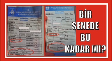 BİR SENEDE BU KADAR MI?