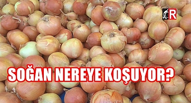 SOĞAN NEREYE KOŞUYOR?