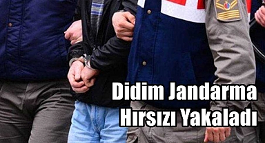Didim Jandarma Hırsızı Yakaladı