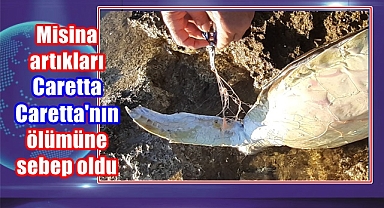Misina artıkları Caretta Caretta'nın ölümüne sebep oldu