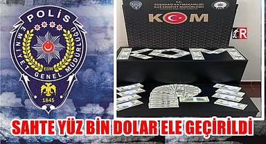 SAHTE YÜZ BİN DOLAR ELE GEÇİRİLDİ