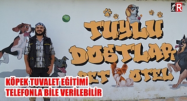 KÖPEK TUVALET EĞİTİMİ TELEFONLA BİLE VERİLEBİLİR