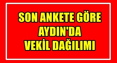 SON ANKETE GÖRE AYDIN'DA VEKİL DAĞILIMI