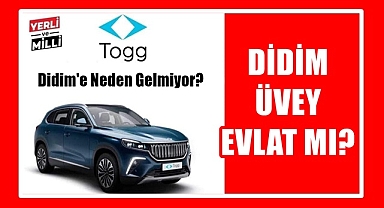 DİDİM, AYDIN'IN ÜVEY EVLADI MI?