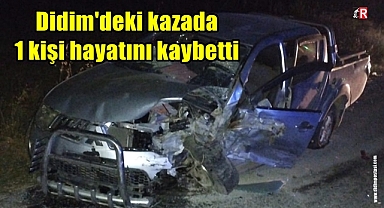 Didim'deki kazada 1 kişi hayatını kaybetti