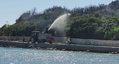 Didim'deki yangına TOMA müdahalesi