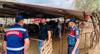 Didim Jandarmadan hayvan sahiplerine uyarı