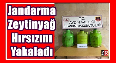 Jandarma Zeytinyağ hırsızını yakaladı