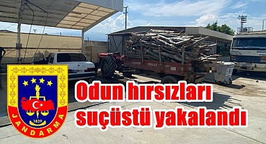 Odun hırsızları suçüstü yakalandı
