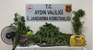 Uyuşturucu yetiştiricisi yakalandı