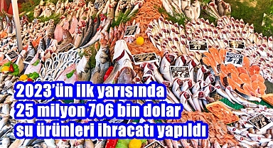 2023’ün ilk yarısında 25 milyon 706 bin dolar su ürünleri ihracatı yapıldı