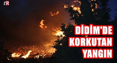 Didim'de Korkutan Yangın!