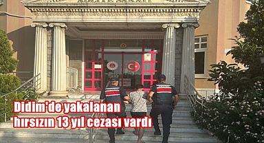 Didim'de yakalanan hırsızın 13 yıl cezası vardı