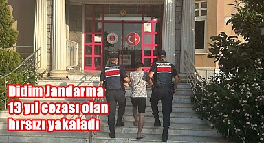 Didim Jandarma 13 yıl cezası olan hırsızı yakaladı