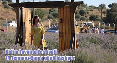Didim Lavanta Festivali 14 Temmuz Cuma günü başlıyor