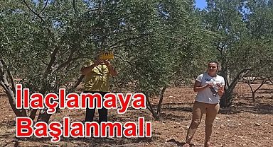 İlaçlamaya başlanmalı