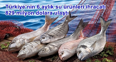 Türkiye’nin 6 aylık su ürünleri ihracatı 829 milyon dolara ulaştı