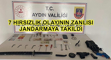 7 Ayrı hırsızlık olayının zanlısı jandarmaya takıldı