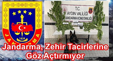 Jandarma, Zehir tacirlerine göz açtırmıyor