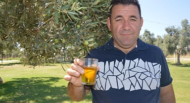Zeytin Üreticileri Teşvik Priminin Geri Gelmesini İstiyor