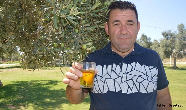Zeytin Üreticileri Teşvik Priminin Geri Gelmesini İstiyor