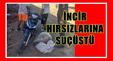 İNCİR HIRSIZLARINA SUÇÜSTÜ