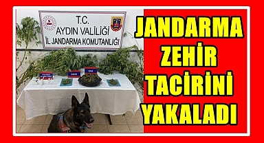 JANDARMA ZEHİR TACİRİNİ YAKALADI